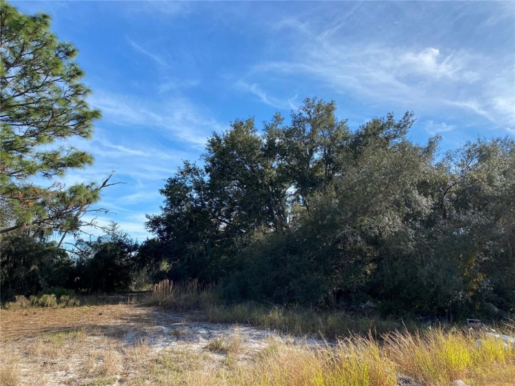 423 VERNON COURT, POINCIANA, Florida 34759, ,Land,For Sale,VERNON,P4918829