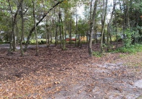 ORLANDO, Florida 32826, ,Land,For Sale,O5989970