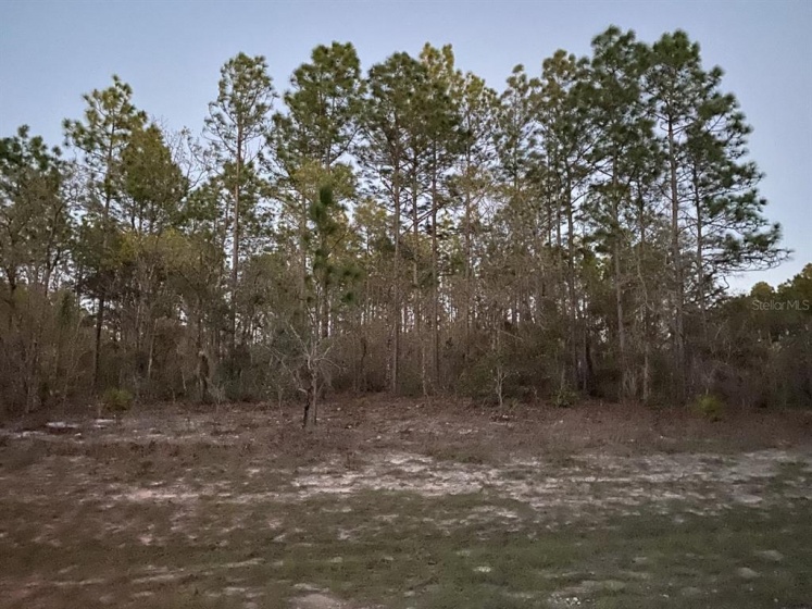 SW 154TH LANE RD., OCALA, Florida 34473, ,Land,For Sale,SW 154TH LANE RD.,G5052904