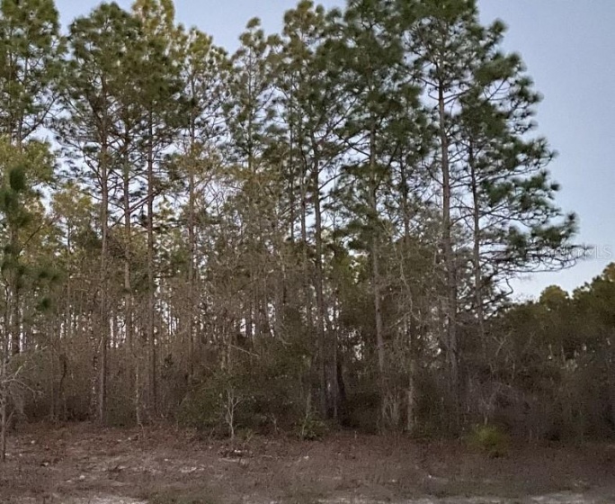 SW 154TH LANE RD., OCALA, Florida 34473, ,Land,For Sale,SW 154TH LANE RD.,G5052904