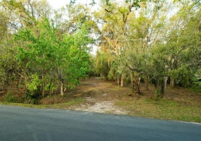 1796 LEMON AVENUE, KISSIMMEE, Florida 34746, ,Land,For Sale,LEMON,S5064247