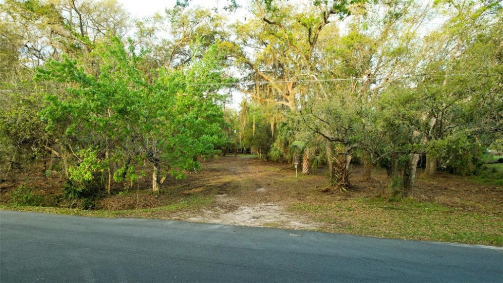 1796 LEMON AVENUE, KISSIMMEE, Florida 34746, ,Land,For Sale,LEMON,S5064247