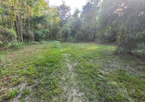 1897 6TH STREET, ORLANDO, Florida 32820, ,Land,For Sale,6TH,O5939251