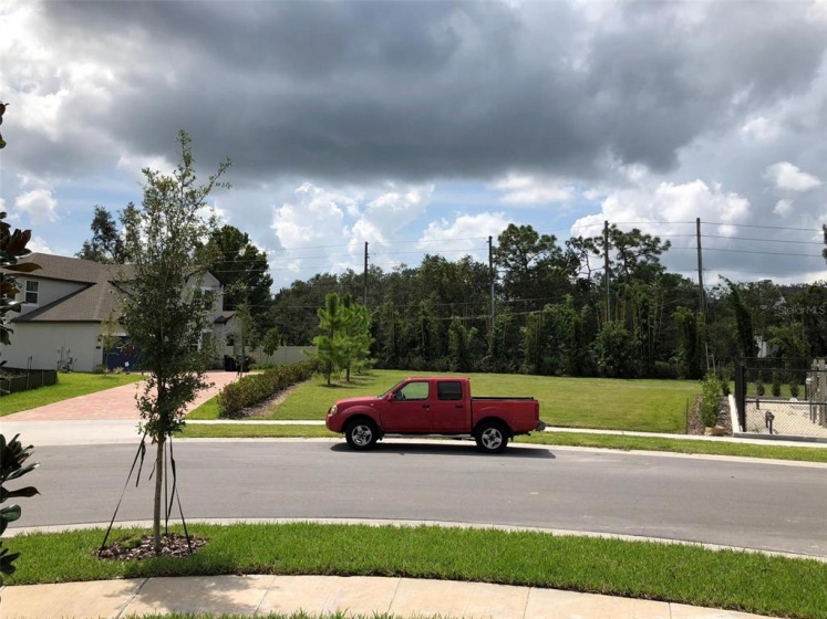 1591 CHESHIRE OAKS LANE, ORLANDO, Florida 32825, 4 Bedrooms Bedrooms, ,2 BathroomsBathrooms,Residential,For Sale,CHESHIRE OAKS,O6010732