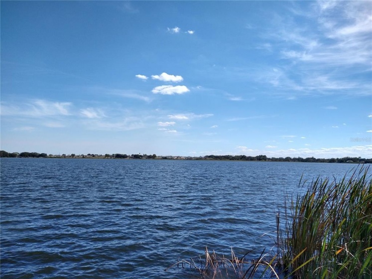 881 CONINE DRIVE, WINTER HAVEN, Florida 33881, ,Land,For Sale,CONINE,P4919226