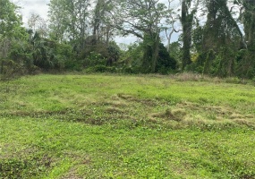 130 PINE HILLS ROAD, ORLANDO, Florida 32811, ,Land,For Sale,PINE HILLS,O6010523
