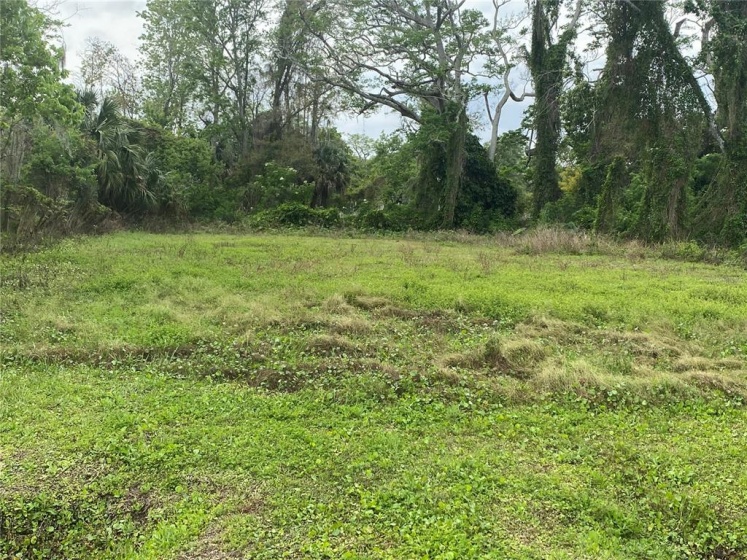 130 PINE HILLS ROAD, ORLANDO, Florida 32811, ,Land,For Sale,PINE HILLS,O6010523