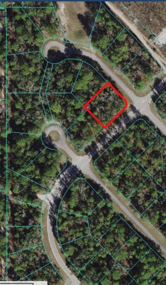 155TH PLACE, OCALA, Florida 34473, ,Land,For Sale,155TH,OM635909
