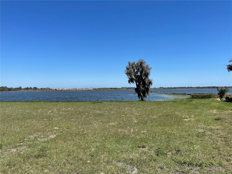 416 BONAMIA AVENUE, LAKE ALFRED, Florida 33850, ,Land,For Sale,BONAMIA,O6011130