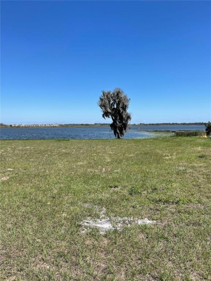 416 BONAMIA AVENUE, LAKE ALFRED, Florida 33850, ,Land,For Sale,BONAMIA,O6011130