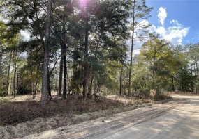 TBD SW 159TH COURT COURT, OCALA, Florida 34481, ,Land,For Sale,SW 159TH COURT,V4923535