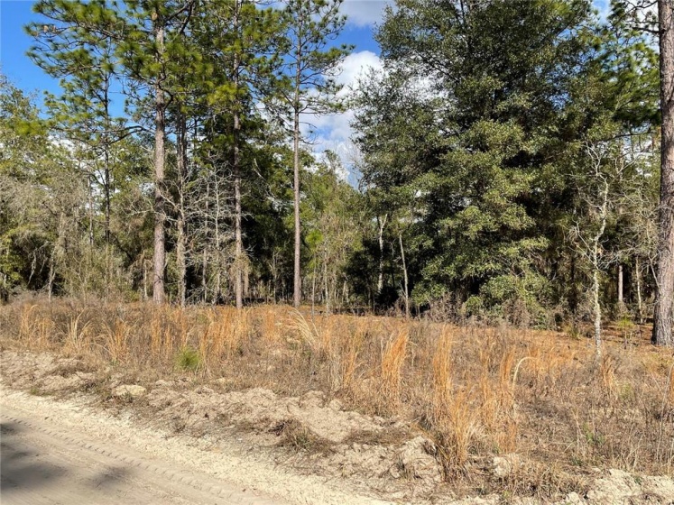 TBD SW 159TH COURT COURT, OCALA, Florida 34481, ,Land,For Sale,SW 159TH COURT,V4923535