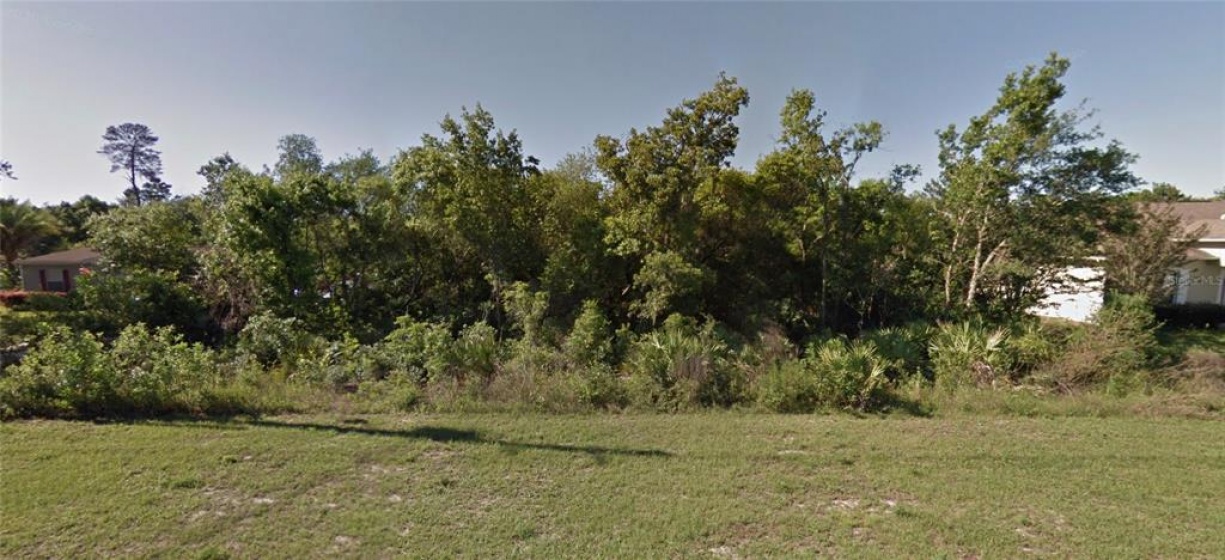 TBD 100TH STREET, OCALA, Florida 34476, ,Land,For Sale,100TH,OM629813