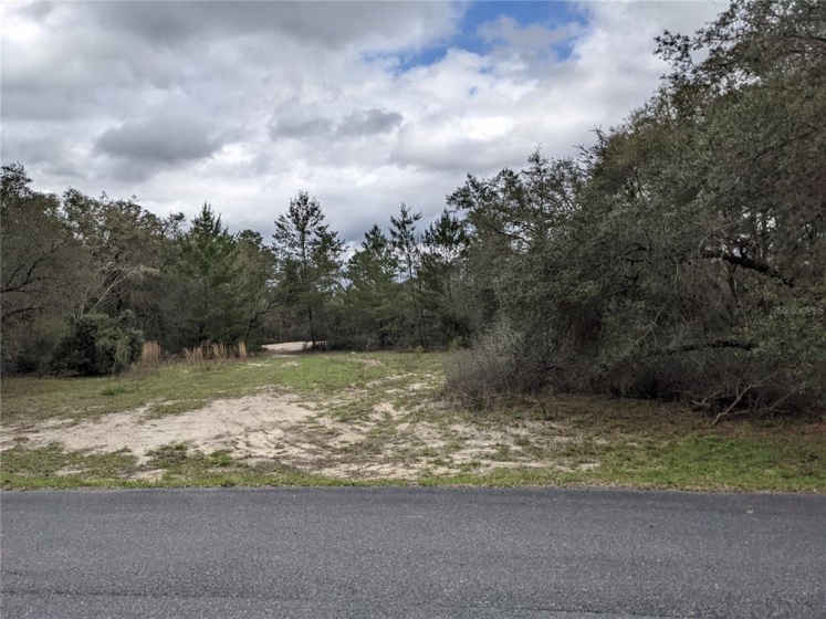 483 MARION OAKS GOLF ROAD, OCALA, Florida 34473, ,Land,For Sale,MARION OAKS GOLF,G5052978