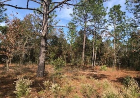 00 103 COURT, OCALA, Florida 34481, ,Land,For Sale,103,OM635956