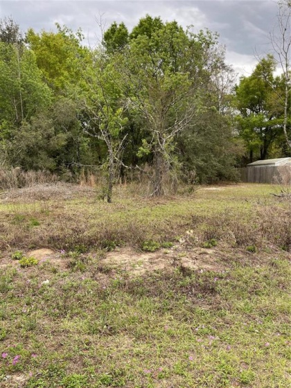 JUNIPER RD, OCALA, Florida 34472, ,Land,For Sale,JUNIPER RD,G5052938
