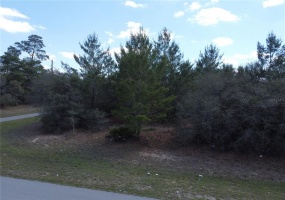 143RD PLACE ROAD, OCALA, Florida 34471, ,Land,For Sale,143RD PLACE,O6011523