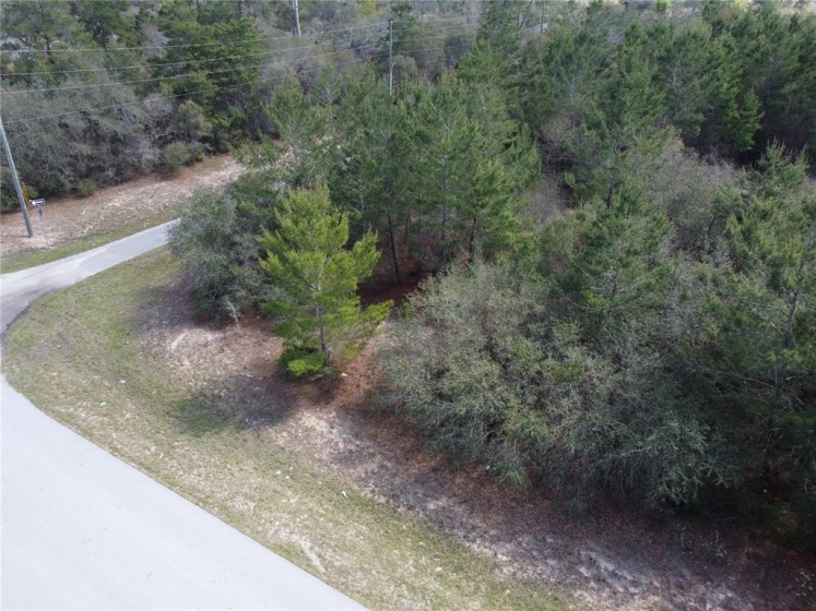 143RD PLACE ROAD, OCALA, Florida 34471, ,Land,For Sale,143RD PLACE,O6011523