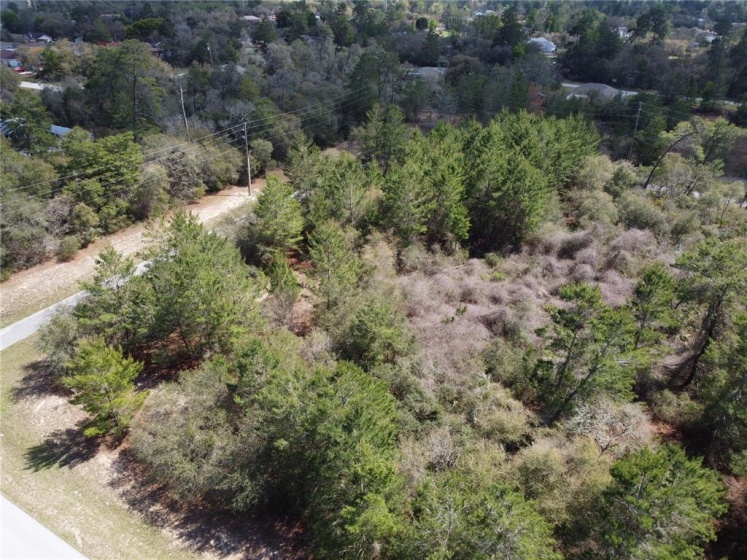 143RD PLACE ROAD, OCALA, Florida 34471, ,Land,For Sale,143RD PLACE,O6011523