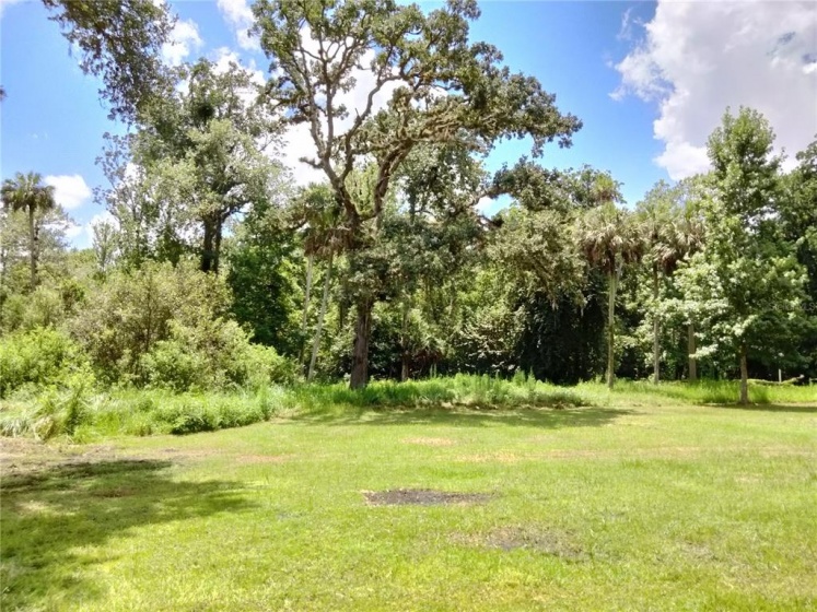 8320 CHOCTAW TRAIL, KISSIMMEE, Florida 34747, ,Land,For Sale,CHOCTAW,S5054362