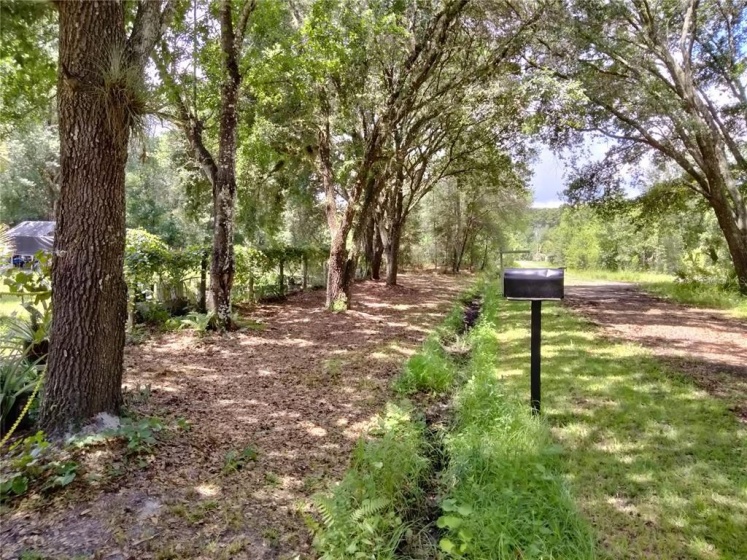 8320 CHOCTAW TRAIL, KISSIMMEE, Florida 34747, ,Land,For Sale,CHOCTAW,S5054362