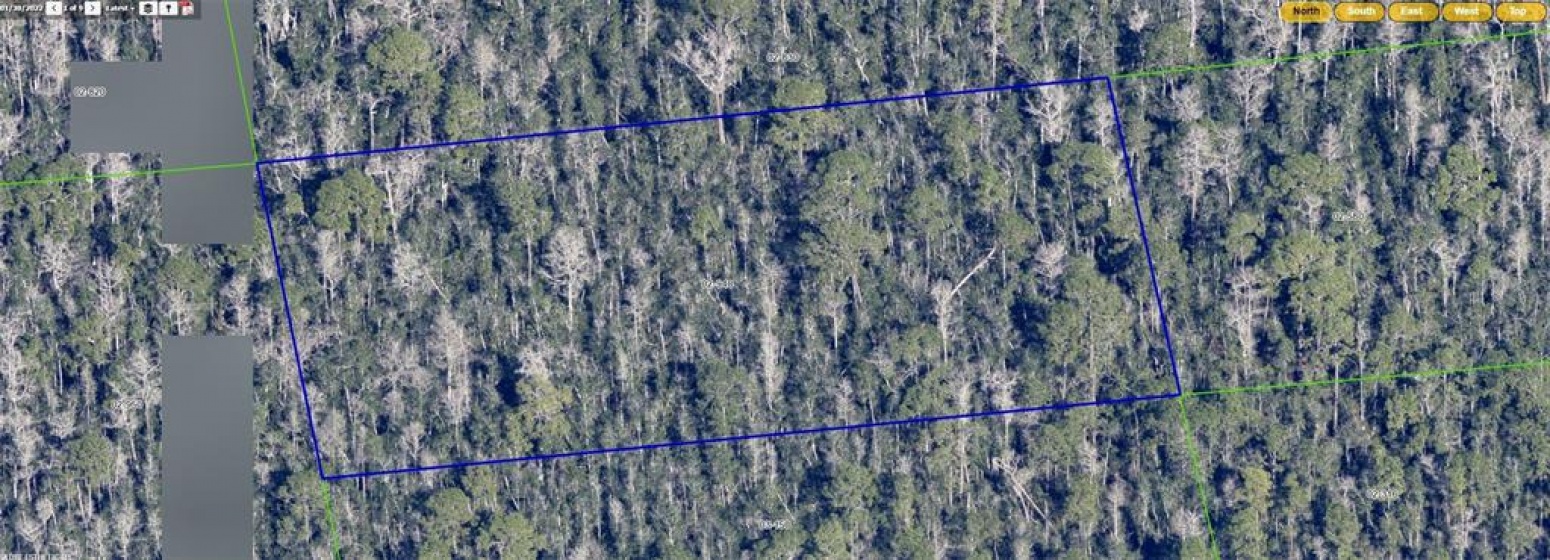 DILL ROAD, ORLANDO, Florida 32820, ,Land,For Sale,DILL,S5064545