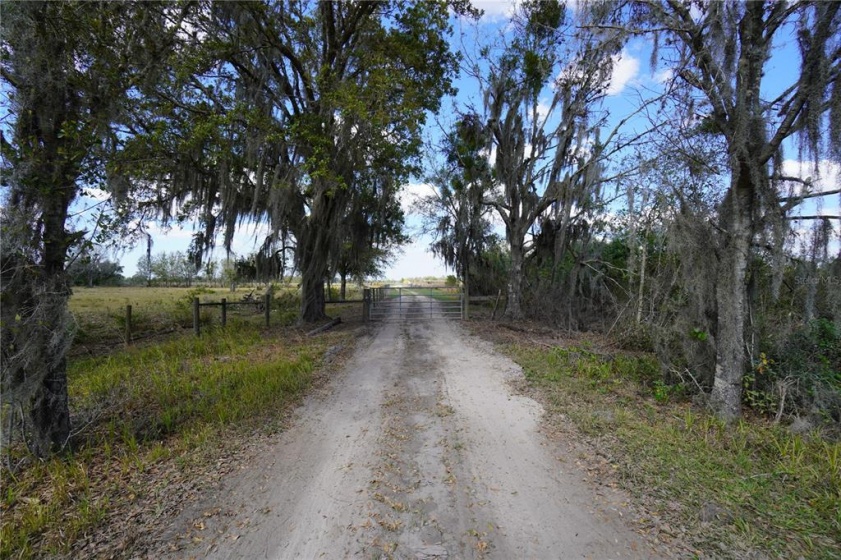 0 WALKER LAKE ROAD, BARTOW, Florida 33830, ,Land,For Sale,WALKER LAKE,O6011816