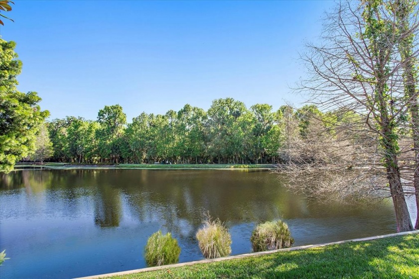 711 EASTLAWN DRIVE, CELEBRATION, Florida 34747, 6 Bedrooms Bedrooms, ,6 BathroomsBathrooms,Residential,For Sale,EASTLAWN,O6011666