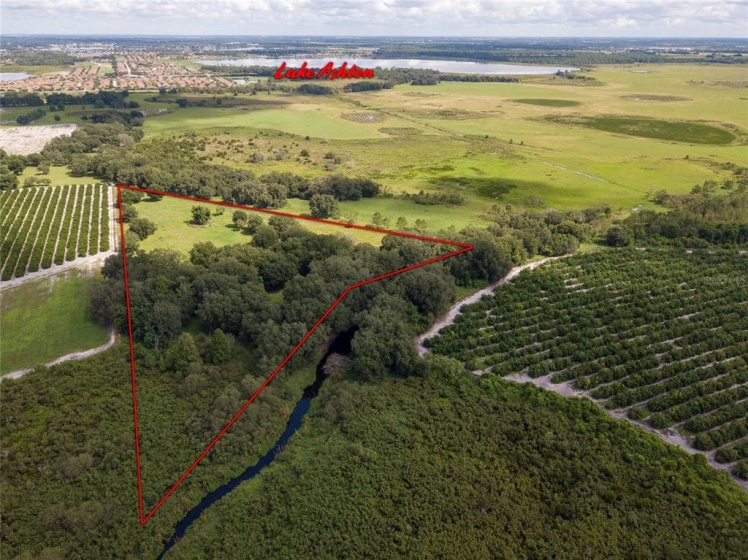 MOUNTAIN LAKE CUT OFF ROAD, WINTER HAVEN, Florida 33884, ,Land,For Sale,MOUNTAIN LAKE CUT OFF,P4917554