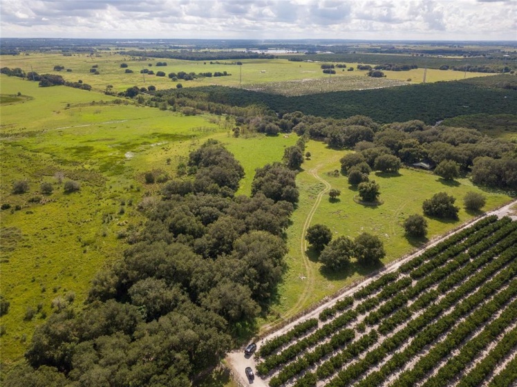 MOUNTAIN LAKE CUT OFF ROAD, WINTER HAVEN, Florida 33884, ,Land,For Sale,MOUNTAIN LAKE CUT OFF,P4917554