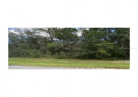 0 SW 149TH LN ROAD, OCALA, Florida 34476, ,Land,For Sale,SW 149TH LN,G5053056