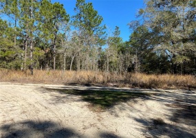 TBD 38TH PLACE, OCALA, Florida 34481, ,Land,For Sale,38TH,OM635511