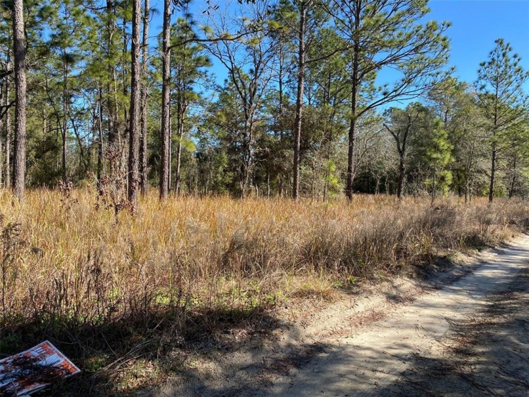 TBD 38TH PLACE, OCALA, Florida 34481, ,Land,For Sale,38TH,OM635511