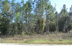 0 73RD STREET, OCALA, Florida 34481, ,Land,For Sale,73RD,OM636114
