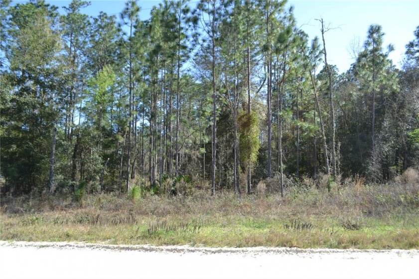 0 73RD STREET, OCALA, Florida 34481, ,Land,For Sale,73RD,OM636114