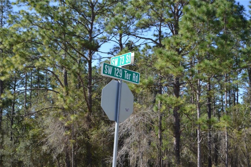 0 73RD STREET, OCALA, Florida 34481, ,Land,For Sale,73RD,OM636114