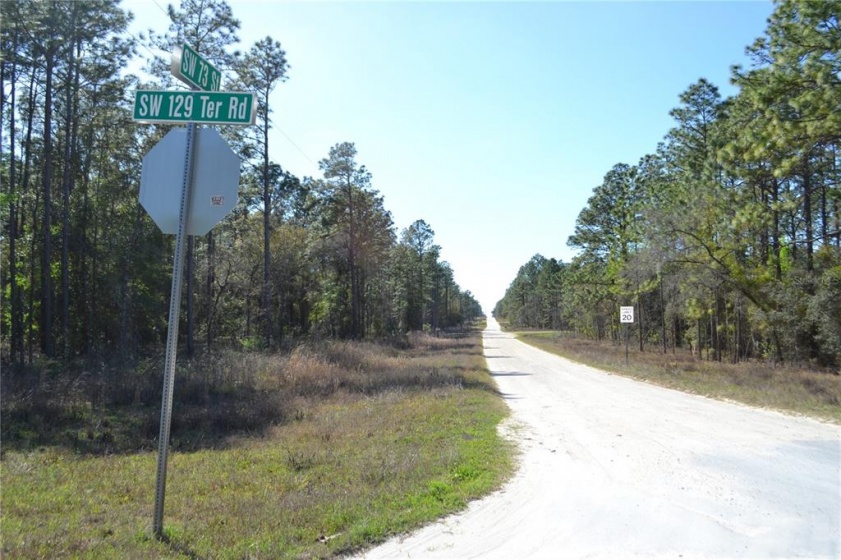 0 73RD STREET, OCALA, Florida 34481, ,Land,For Sale,73RD,OM636114