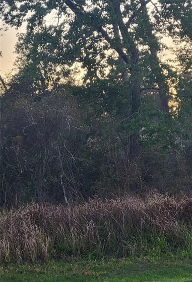 0 172ND LOOP, OCALA, Florida 34473, ,Land,For Sale,172ND,OM636125