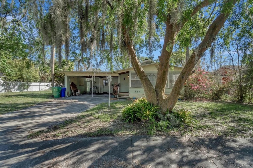 234 FLORIDA AVENUE, WINTER GARDEN, Florida 34787, 3 Bedrooms Bedrooms, ,2 BathroomsBathrooms,Residential,For Sale,FLORIDA,O6012009
