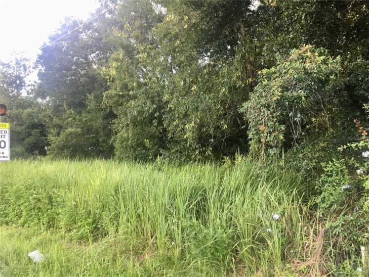 TBD 49 AVENUE, OCALA, Florida 34480, ,Land,For Sale,49,OM627139