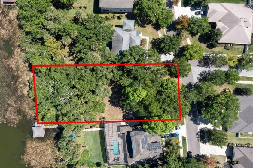 541 LAKE COVE POINTE CIRCLE, WINTER GARDEN, Florida 34787, ,Land,For Sale,LAKE COVE POINTE,O6012104
