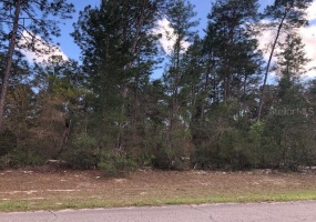 0- 41ST CIR, OCALA, Florida 34473, ,Land,For Sale,41ST CIR,OM636201