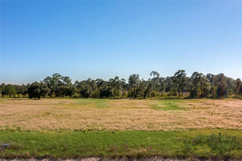 9485 OAK POINTE PRESERVE LOT 19 LANE, CLERMONT, Florida 34711, ,Land,For Sale,OAK POINTE PRESERVE LOT 19,O6012359