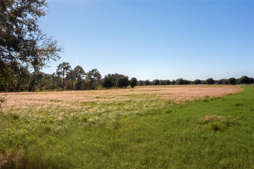 9485 OAK POINTE PRESERVE LOT 19 LANE, CLERMONT, Florida 34711, ,Land,For Sale,OAK POINTE PRESERVE LOT 19,O6012359