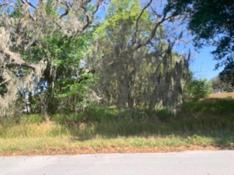 TBD WILLOW ROAD, OCALA, Florida 34472, ,Land,For Sale,WILLOW,OM636270