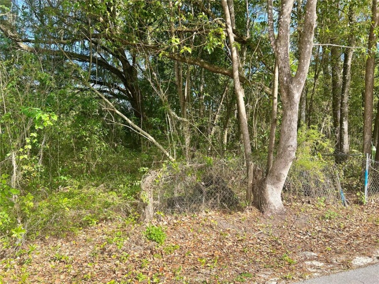 2575 48TH COURT, OCALA, Florida 34470, ,Land,For Sale,48TH,OM636274