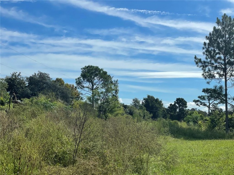 3217 LAKE TWYLO RD, ORLANDO, Florida 32817, ,Land,For Sale,LAKE TWYLO RD,O5972371