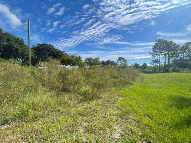 3217 LAKE TWYLO RD, ORLANDO, Florida 32817, ,Land,For Sale,LAKE TWYLO RD,O5972371