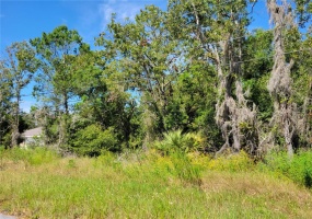 OLIVE CT., OCALA, Florida 34472, ,Land,For Sale,OLIVE CT.,G5046639