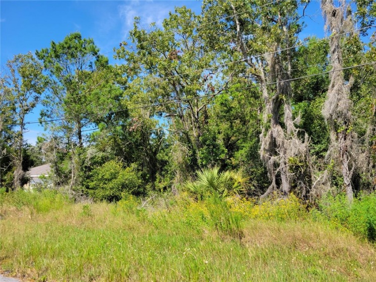 OLIVE CT., OCALA, Florida 34472, ,Land,For Sale,OLIVE CT.,G5046639